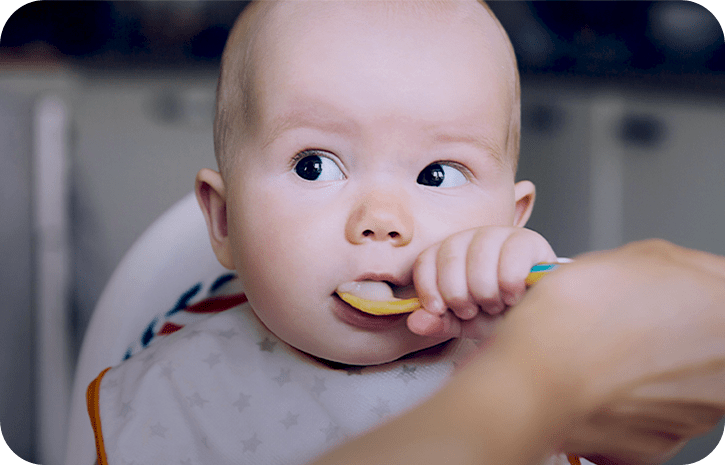 Immunsystem stärken im Beikostalter | Babyservice
